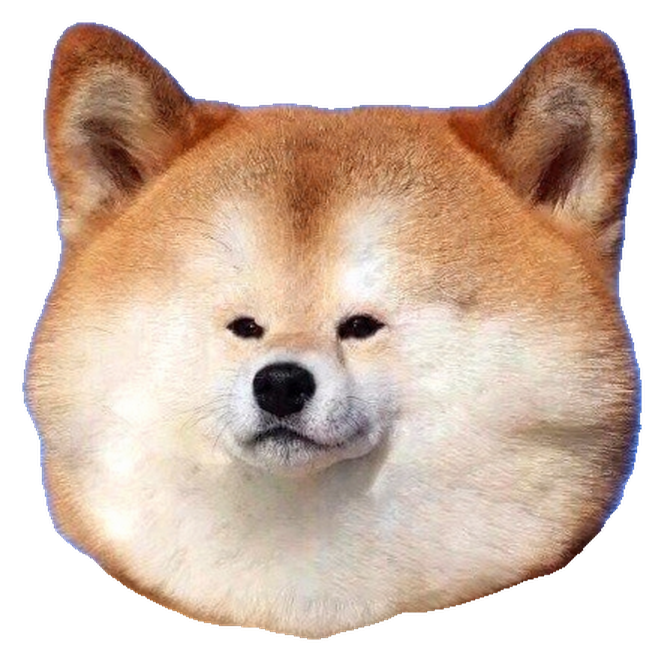 Chonky Inu